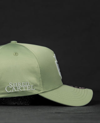 Shred Cartel Elite Snapback Cap – Mint Sage